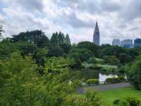 東京繁忙大都市内的美麗綠洲