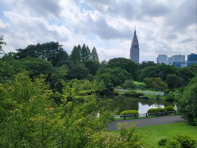 東京繁忙大都市内的美麗綠洲