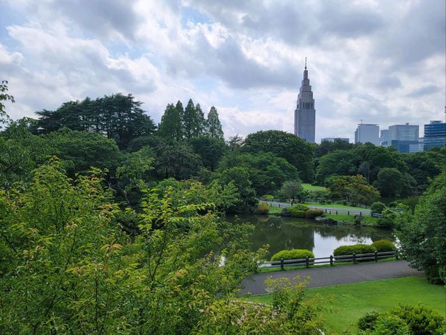 東京繁忙大都市内的美麗綠洲