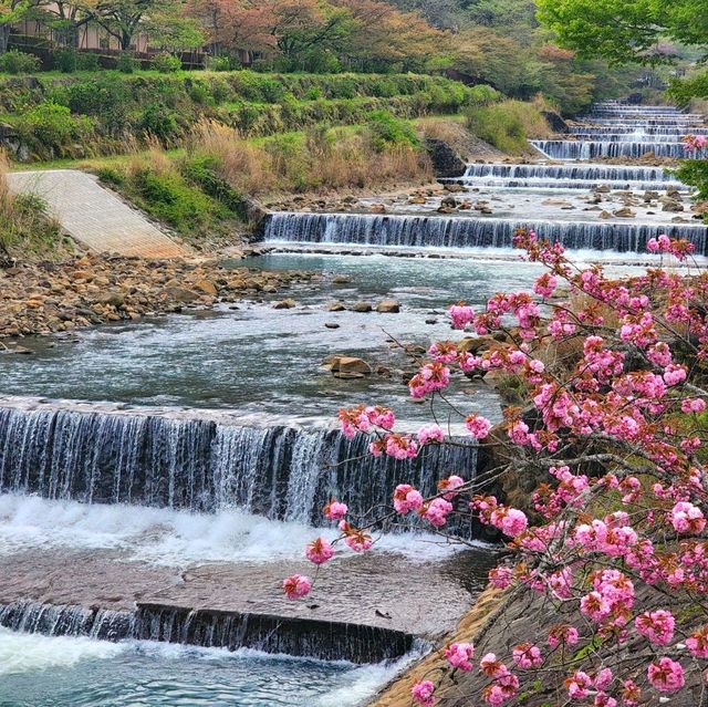 รีวิว โรงแรม Hotel Indigo Hakone Gora