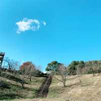 【広島県】自然と癒しを求めて 後山公園東展望台