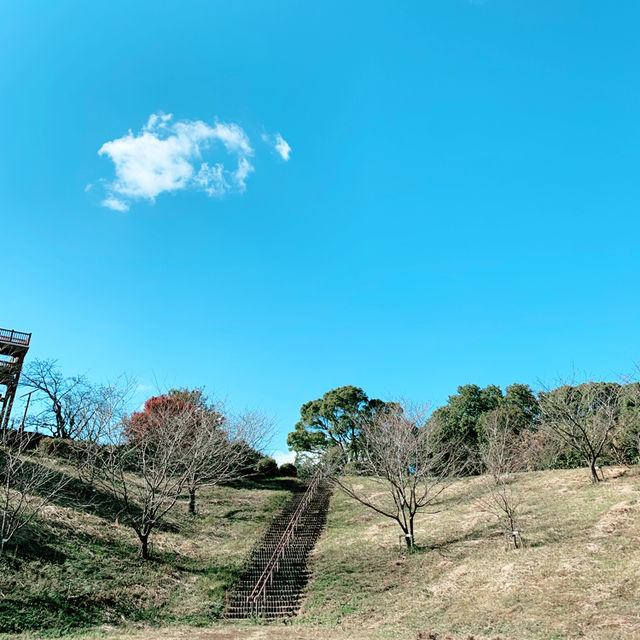 【広島県】自然と癒しを求めて 後山公園東展望台