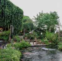 Phu Chaisai Mountain Resort 