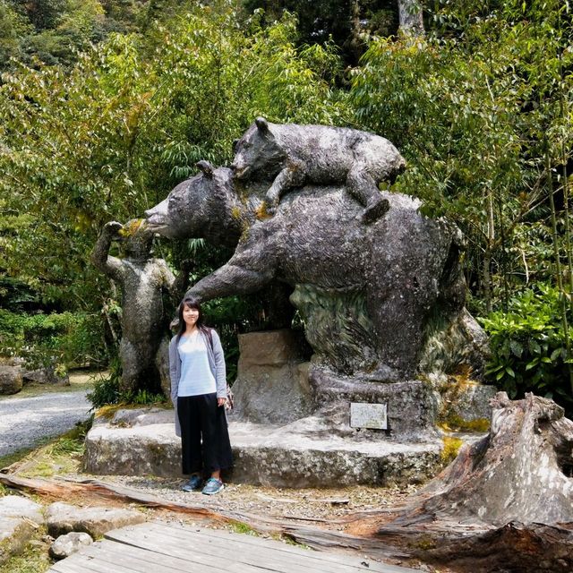 宜蘭棲蘭山莊🏞遠離塵囂享受山嵐之氣🥰