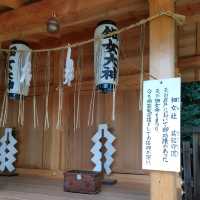 サクラサク 満願成就と芸能の神社　平野神社