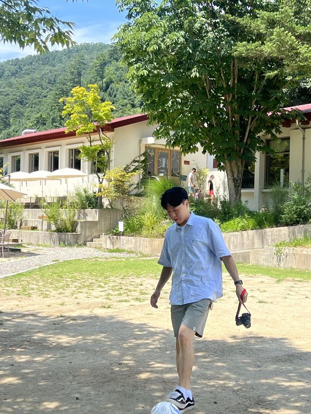 춘천 폐교를 카페로 바꾼 오월학교💛