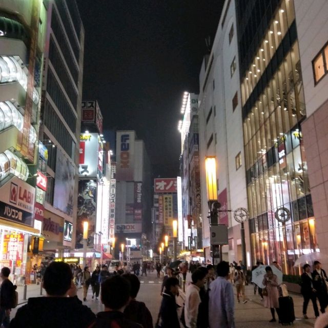 The Mecca of Otaku, Akihabara