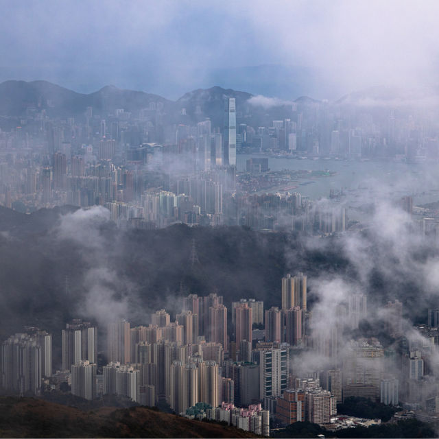 香港🇭🇰 ｜季節限定的山野景色🌟 - 大帽山 ⛰️