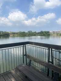 桃園市｜新屋區｜新屋埤環湖步道（桃園大圳12-2號池）