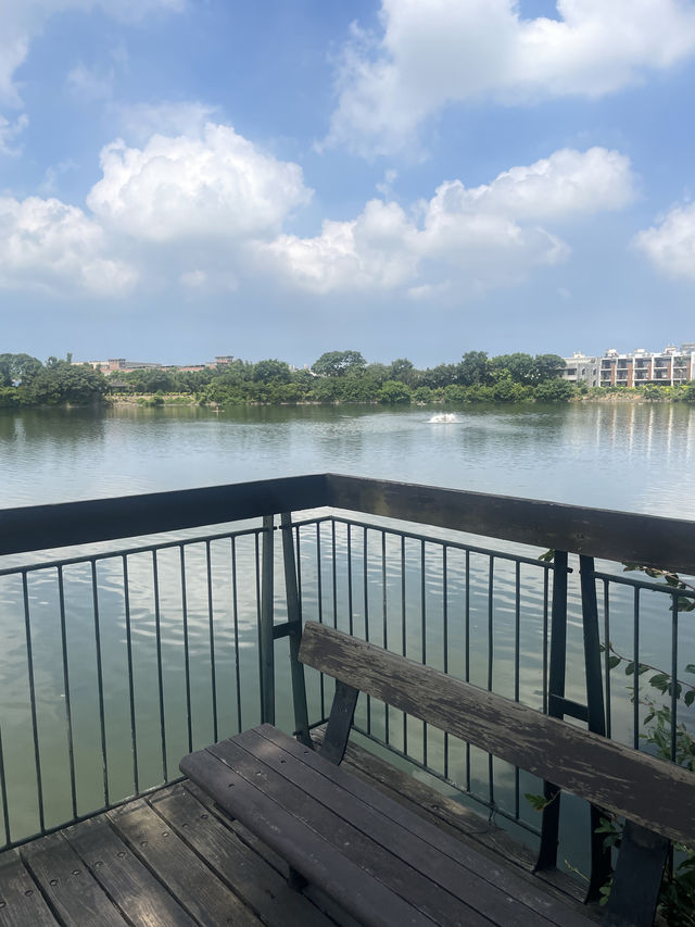 桃園市｜新屋區｜新屋埤環湖步道（桃園大圳12-2號池）