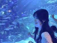 바다생물의 영롱함🐳🐬🪼[코엑스 아쿠아리움]