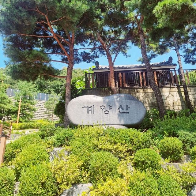 고난이도 등산코스 <계양산> ⛰️🪨
