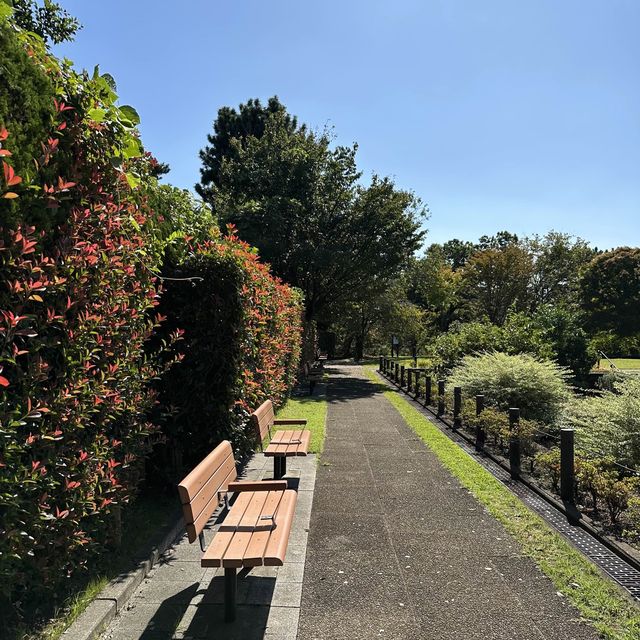 📍多摩川台公園/東京