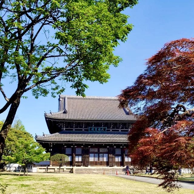 🎋 장엄하고 포스가 넘치는 요코하마의 사찰, 소지지를 여행해보세요✨