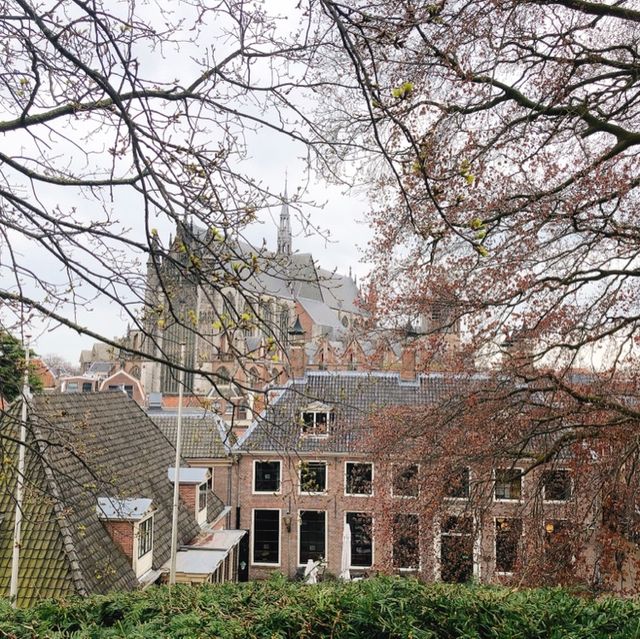荷蘭🇳🇱萊頓🔰⚜️Burcht van Leiden 外層景觀篇