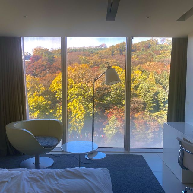 연말을 제대로 즐길 수 있는 최고의 호캉스, 비스타 워커힐 호텔✨