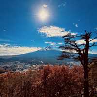 2023河口湖紅葉一個人旅行