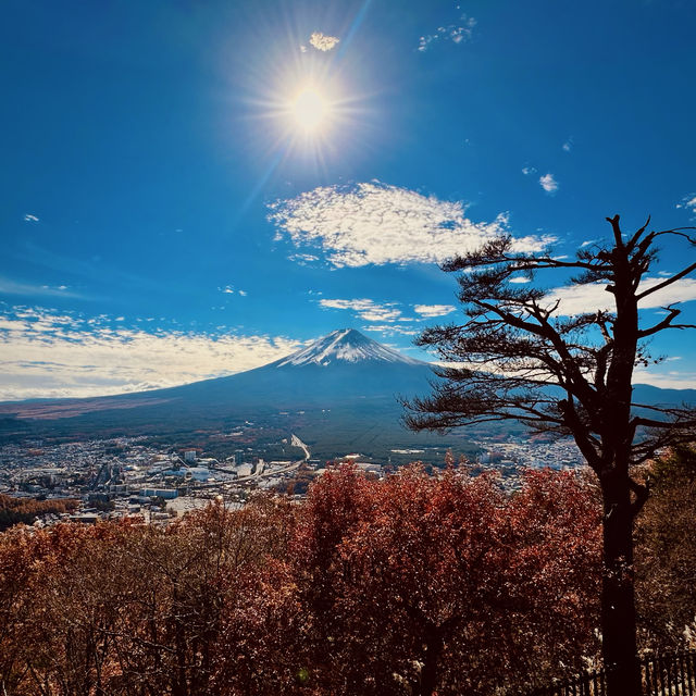 2023河口湖紅葉一個人旅行