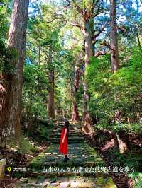 【保存版】世界遺産の熊野古道と船で行く温泉！那智勝浦絶景旅プラン⛩♨️