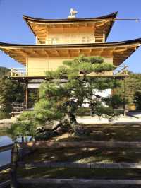 เที่ยววัดทองแห่งเกียวโต Kinkakuji Temple