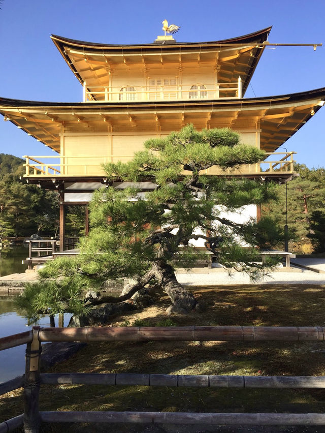 เที่ยววัดทองแห่งเกียวโต Kinkakuji Temple