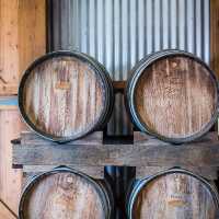 Sip wine & admire views at Hunter Valley