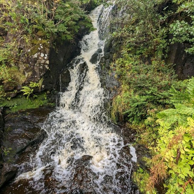 VISITING THE DUNVEGAN CASTLE.