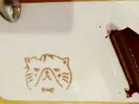 Caturday Cat Cafe
