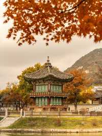 首爾好去處| 踏入歷史的寶座——景福宮