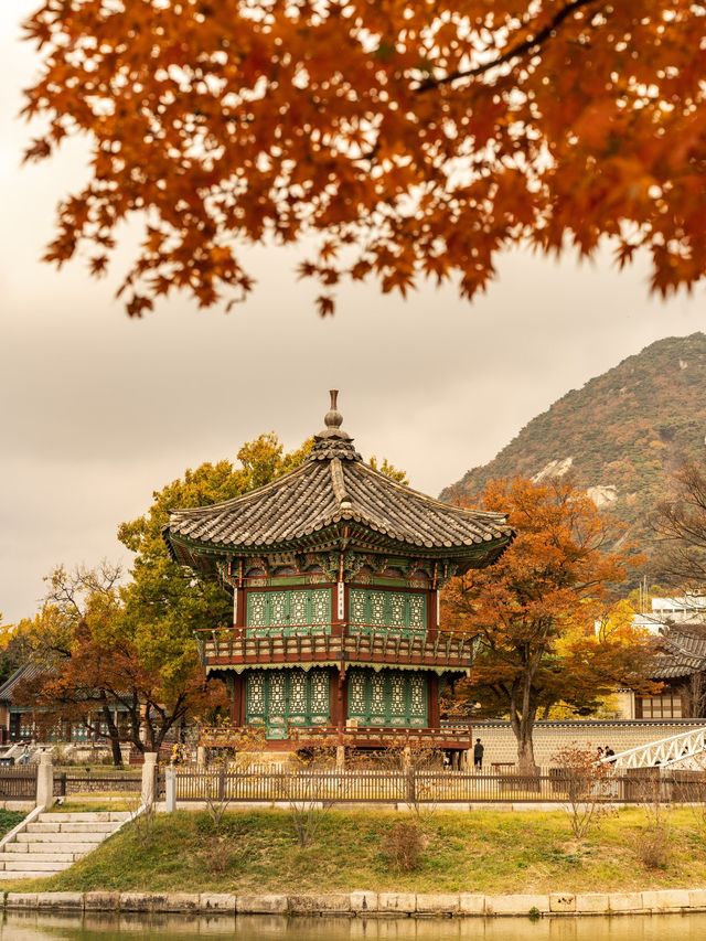 首爾好去處| 踏入歷史的寶座——景福宮
