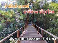 สัมผัสป่าดึกดำบรรพ์ อาลีซานเมืองไทย 🌲🌲🌲