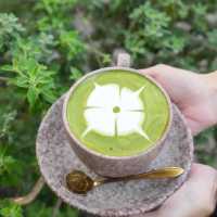 อัมพวาศรี คาเฟ่ : Amphawa-Sri Cafe