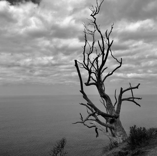 Mangawhai Magic: Nature's Embrace Beckons