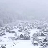 겨울왕국 시라카와고❄️
