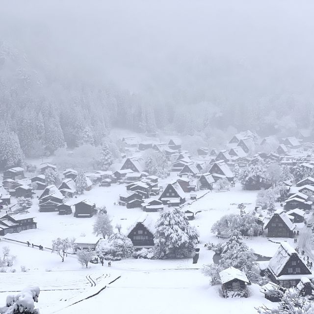 겨울왕국 시라카와고❄️