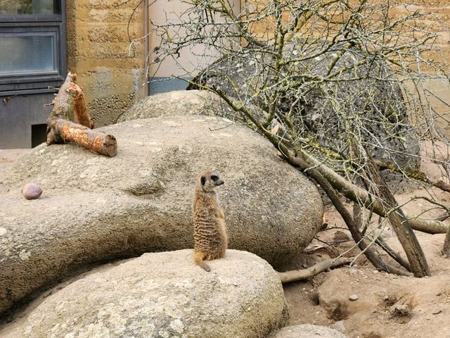 【瑞士】 巴賽爾動物園：瑞士最古老的動物園
