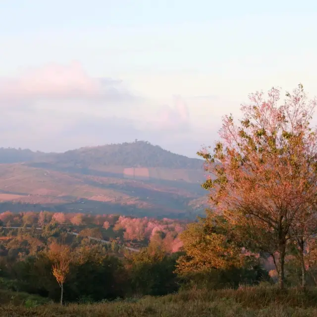 ภูลมโล ภูเขาสีชมพู