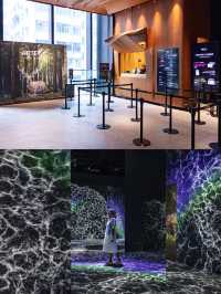 ARTE M ดิจิตัลอาร์ตดังจากเกาหลี เปิดที่ฮ่องกงแล้ว