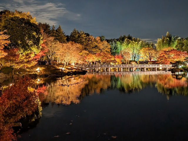 Showa kinen Park