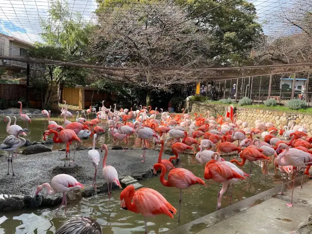 王子動物園。