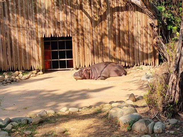 隱身在公園裡的動物園-新竹市立動物園