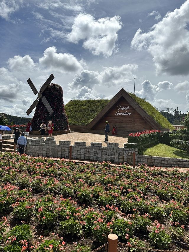 Fresh Garden at Dalat Vietnam 