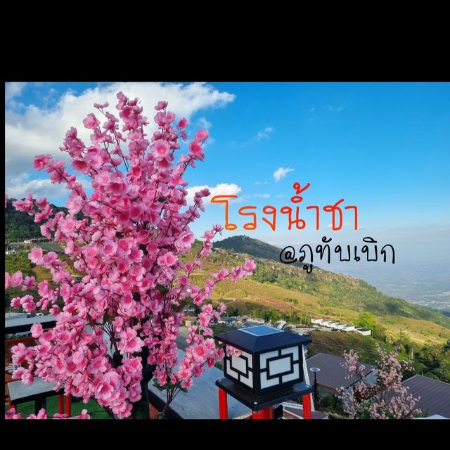 จิบน้ำ ชมเขา @ภูทับเบิก