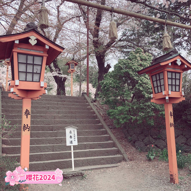 【新倉山淺間公園】不能錯過櫻花與富士山同框的畫面🌸🗻