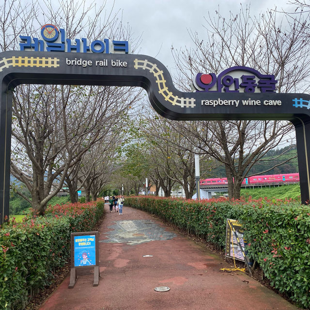 釜山景點-洛東江鐵道自行車