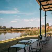 DAWN Espresso & Nitro Bar คาเฟ่เปิดใหม่ระยอง