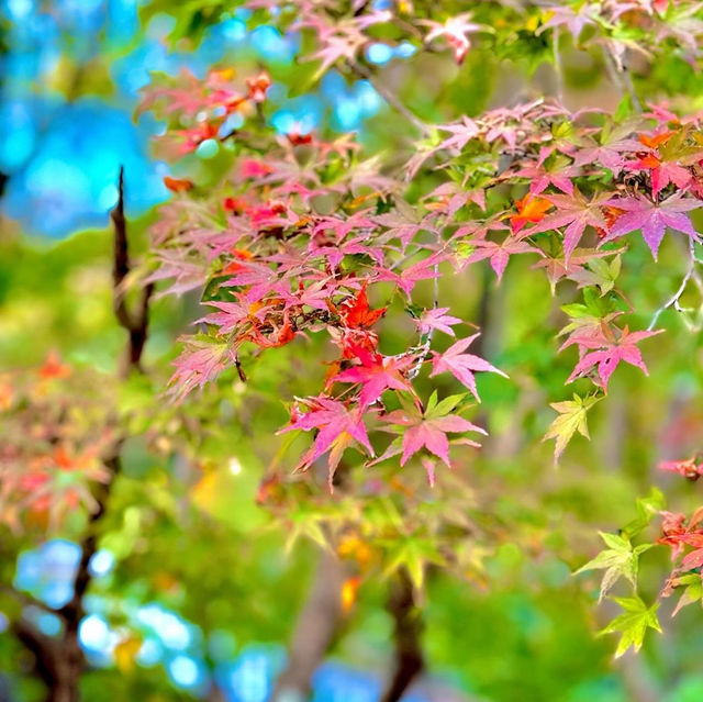 岐阜公園