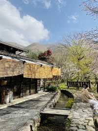 【絶景】一生に一度は行きたい！春の絶景が待つ白川郷へ🌸
