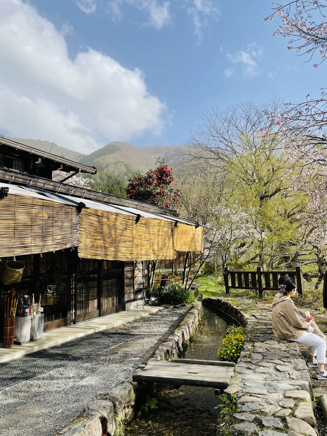 【絶景】一生に一度は行きたい！春の絶景が待つ白川郷へ🌸