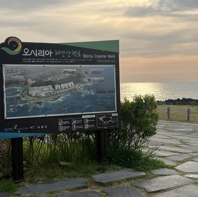 가족여행으로 최적!! 아난티 앳 부산 코브